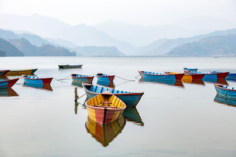 Bateaux colorés sur le lac Phewa à Pokhara, au Népal. par Ron van der Stappen