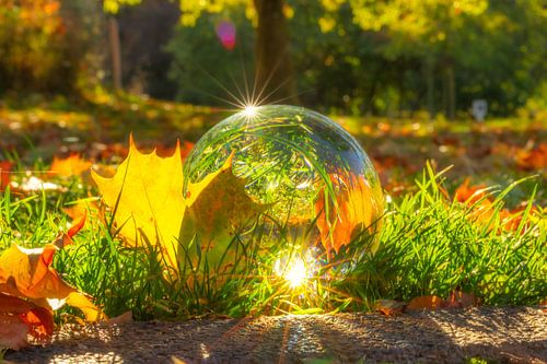 Glaskugel im Herbst