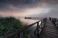 Sunrise by Julia Schellig thumbnail