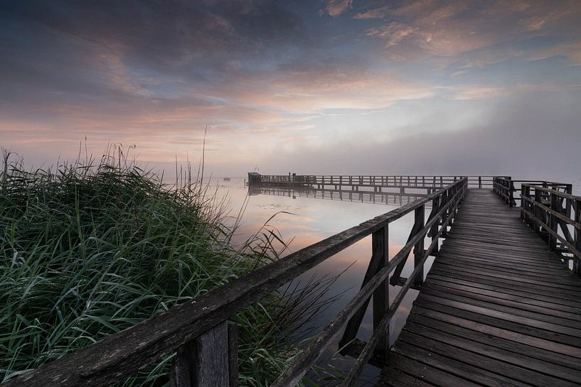 Sunrise by Julia Schellig