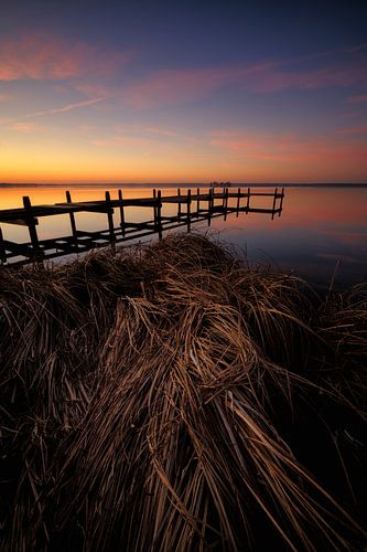 Reeds