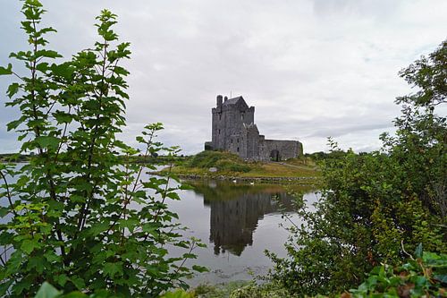 Kasteel Dunguaire staat bij Kinvara in het zuiden van het graafschap Galway in Ierland.