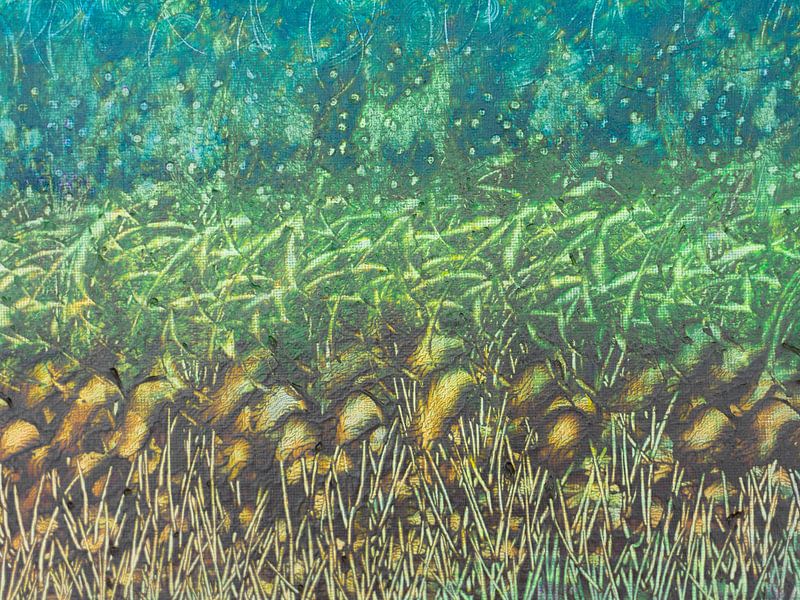 Abstrakte Formen und Strukturen in den Farben der Natur von Lisette Rijkers