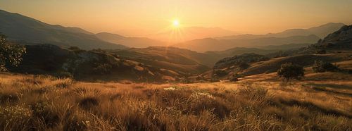 Een wijde wereld, twee harten