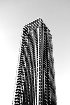 Rotterdam, Zalmhaventoren in zwart wit gefotografeerd