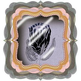 PROTEA GIFT BOX | Serie | NO.3 von XHOZUCAN