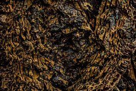 The Heart Of The Old Oak by J.H Photoart