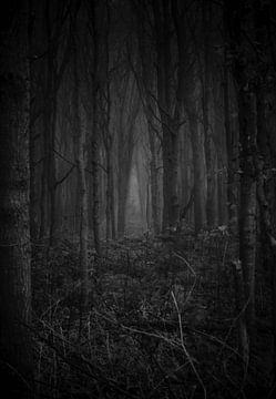 Der Dämon im Wald (schwarz/weiß) von Maickel Dedeken