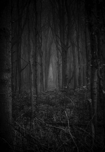 The demon in the woods (zwart-wit)