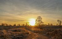 Sonnenaufgang über dem Salland-Kamm.