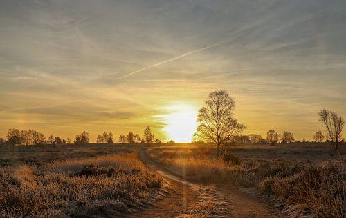 Zonsopkomst  boven de Sallandse heuvelrug.