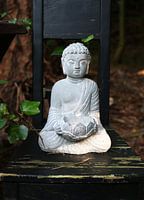 Bouddha dans la forêt