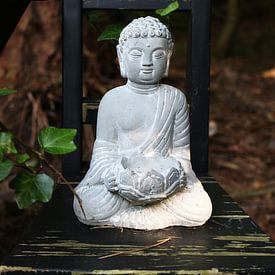 Boeddha in het bos van CJ - Fotografie