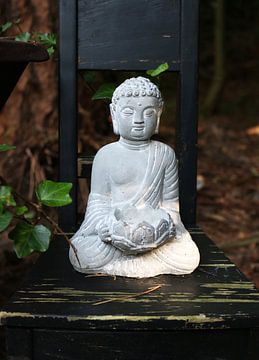 Boeddha in het bos van CJ - Fotografie