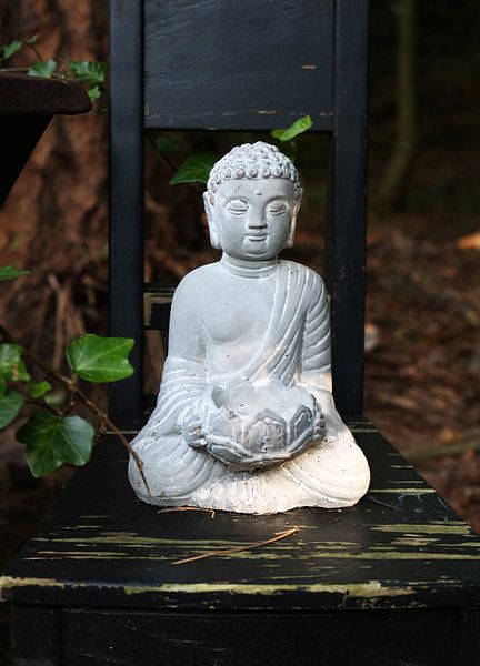 Buddha in the forest by CJ - Fotografie