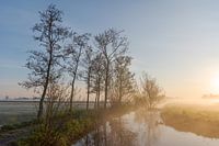 Sunrise in foggy polder landscape