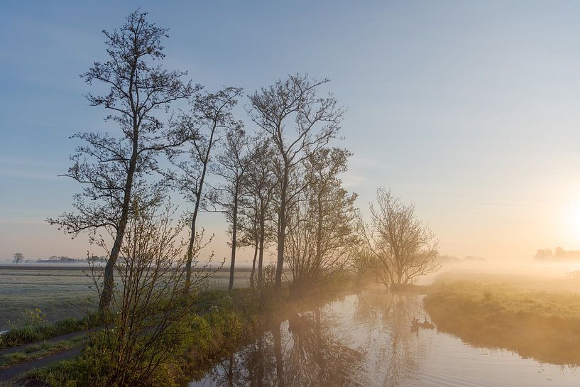 Sunrise in foggy polder landscape by Beeldbank Alblasserwaard