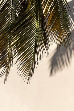 Palmbladeren Curaçao van Dennis en Mariska