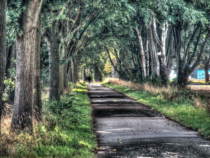 Piste d'essai du tachymètre par Edgar Schermaul