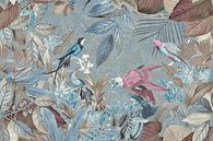 Vogels in het paradijs van Andrea Haase thumbnail