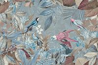 Birds Paradise