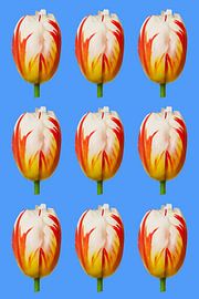 Tulpen im Muster von StudioMaria.nl