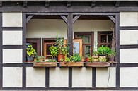 Balconies on the Krämerbrücke Erfurt by Gunter Kirsch thumbnail