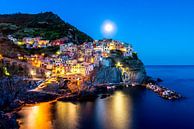 Manarola  bij volle maan van Marco Schep thumbnail