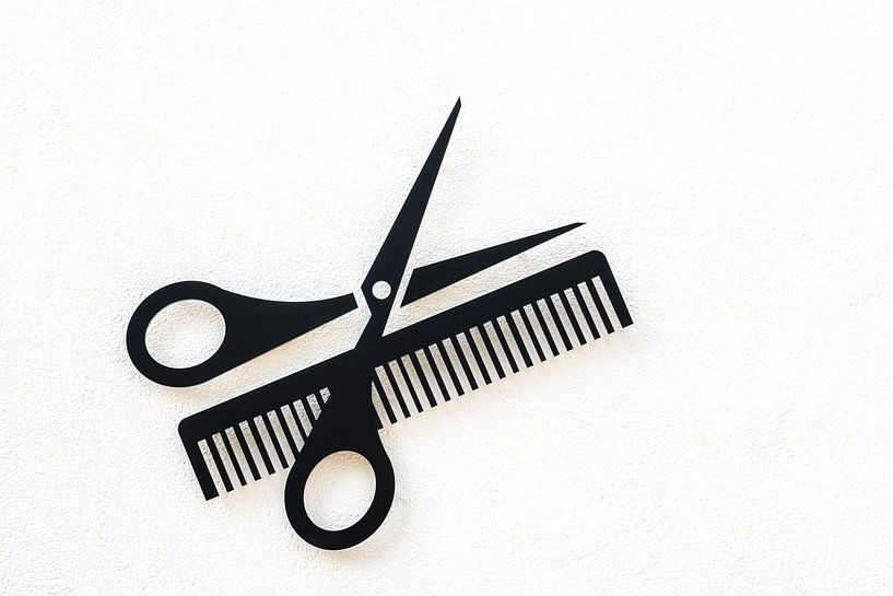 Scissors and comb by Dieter Walther
