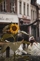 Natural growth in the wild city