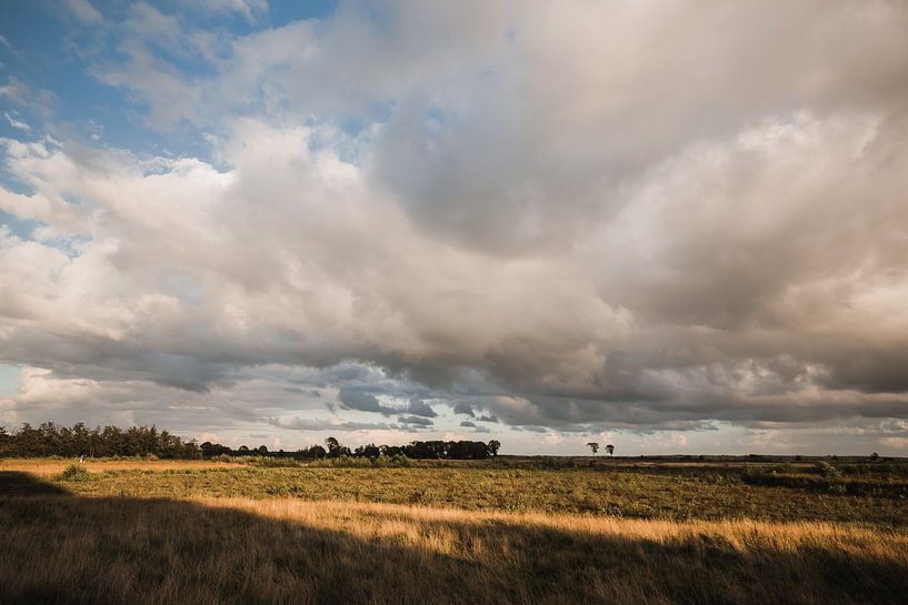 Mooi Drenthe van Nanda van der Eijk