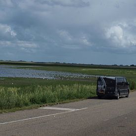 volgels kijken von Esther Oosterveld