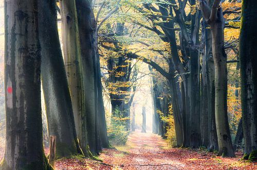 Warten auf den Herbst