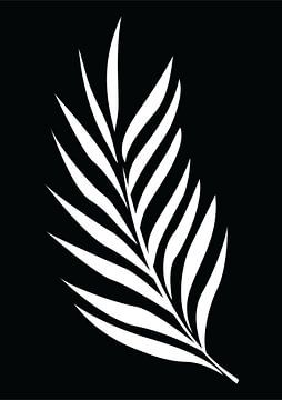 Minimalist Nature & Abstract Illustration Collection