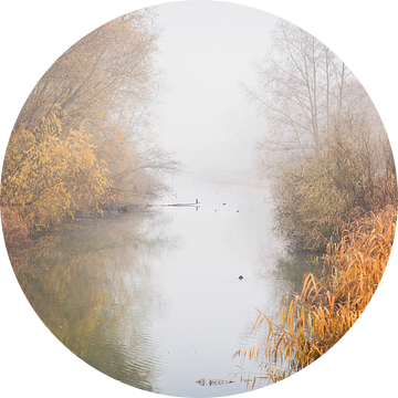 Bob Ross in de Dordtse Biesbosch