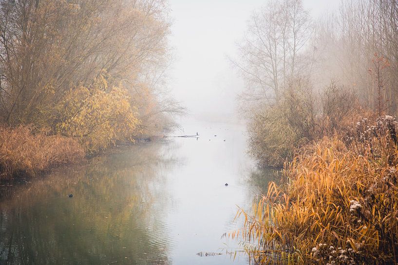 Bob Ross in de Dordtse Biesbosch van Petra Brouwer