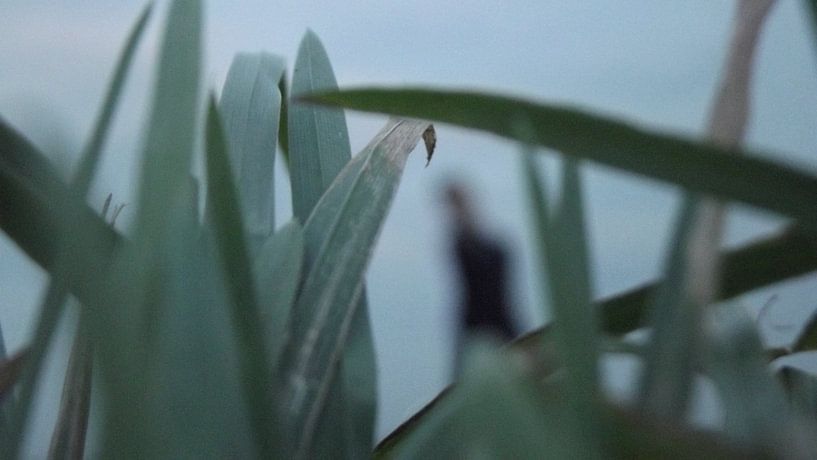 gras 1 by Wessel Bakker
