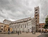 Sint Martin Kathedraal in Toscane, Italië van Joost Adriaanse thumbnail
