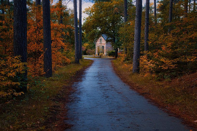 Little house in the autumn forest by peterheinspictures