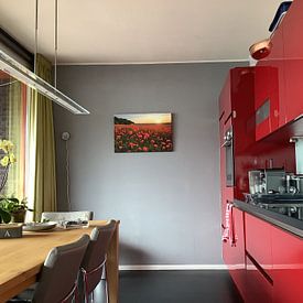 Kundenfoto: Mohnblumen von Steffen Gierok, auf leinwand