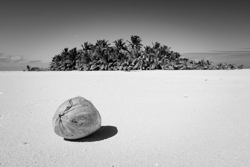 Kokosnoot op onbewoond eiland, Aitutaki van Laura Vink