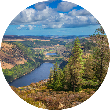 De Wicklow Mountains