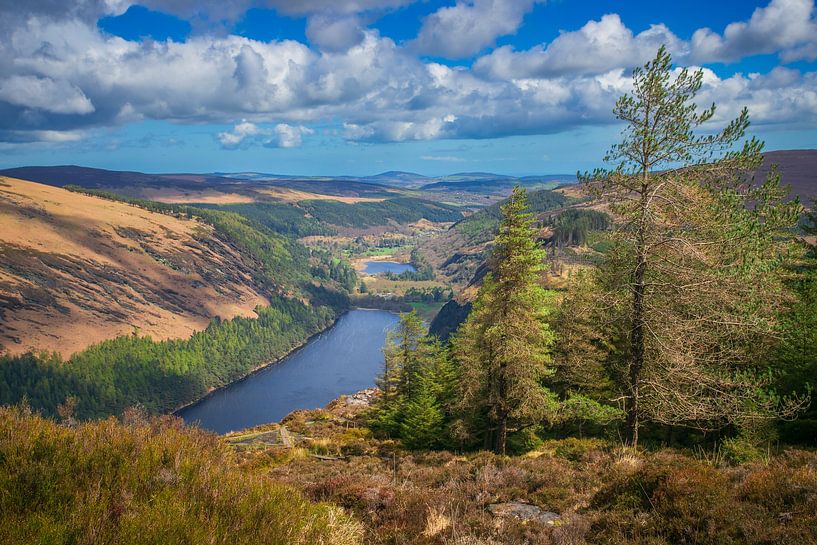 Die Wicklow Mountains von Antwan Janssen