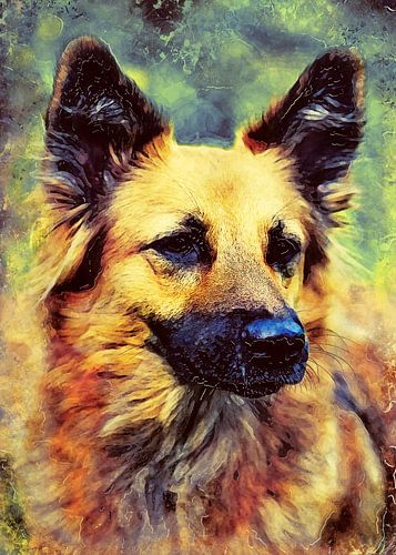 Dog 6 animals art #dog #dogs #dogs