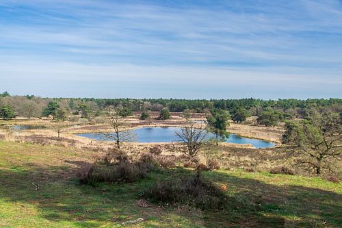 Het Quin (Natuurreservaat Maasduinen, Nederland)
