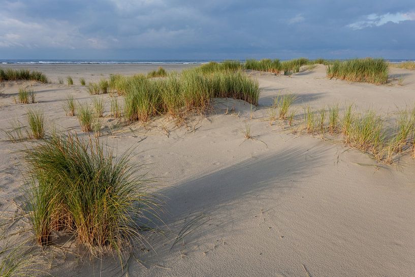 Duinen landschap. van Albert Mendelewski