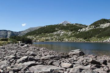 Blick auf den See