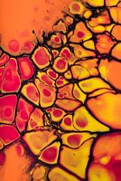 Warm colors red, orange flow through and past each other