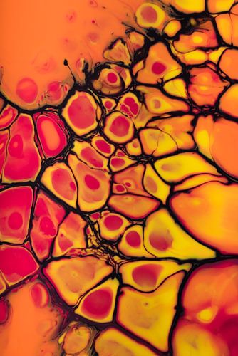 Warm colors red, orange flow through and past each other by Marjolijn van den Berg