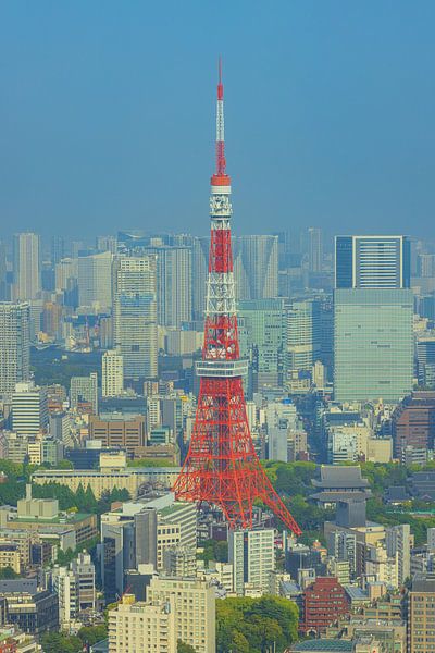 Tokio-Turm - Japan von Marcel Kerdijk